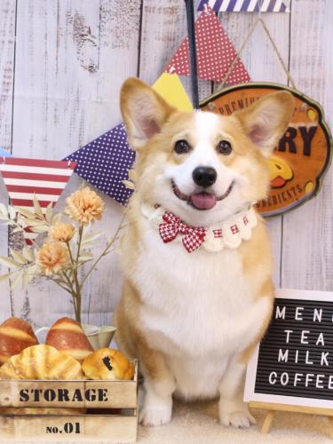 20240907こじろうくん